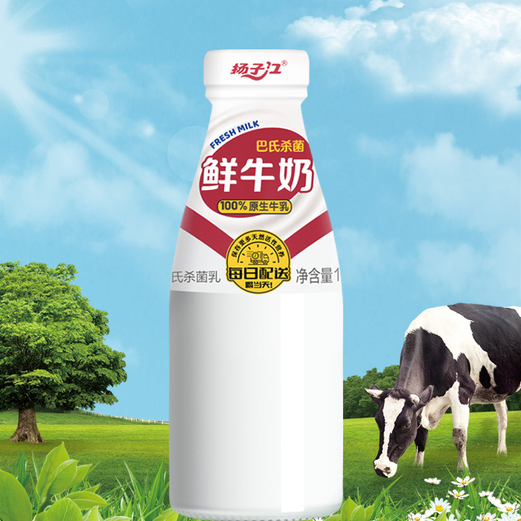 扬子江瓶装鲜牛奶190ml